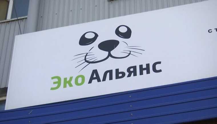 Дружинина вызывают на допрос: в Хурале обсудят проблемы компании «ЭкоАльянс»