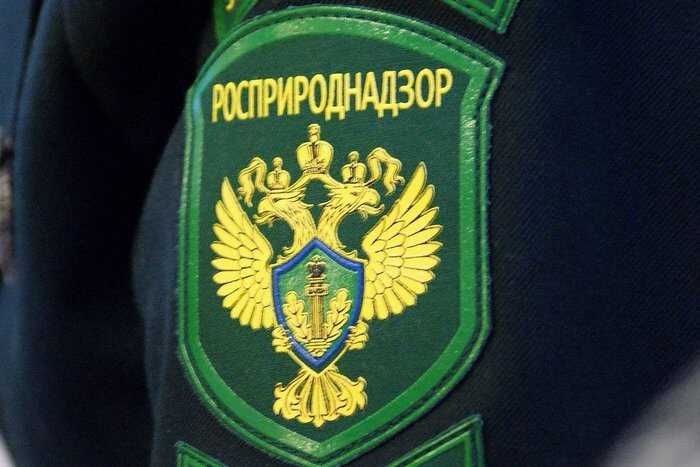Суд взыскал с владельцев затонувших танкеров в Керченском проливе почти 85 миллиардов рублей за экологическую катастрофу